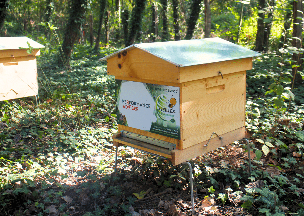 Ruche d'abeilles Performance Adviser.